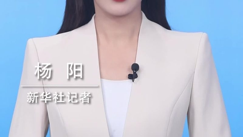智能客服外包平台：北京市场对比解析